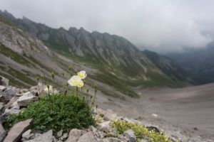 Alps poppy seed, debris fields, summits, mountains, clouds Alps poppy seed, debris fields, summits, mountains, clouds